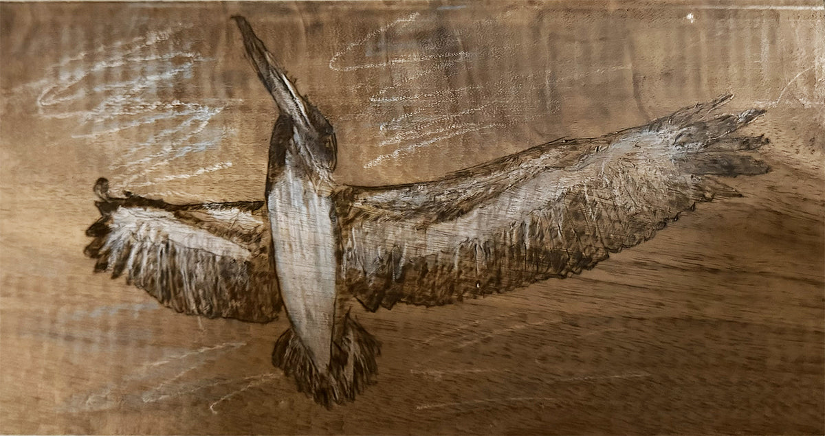 Wood Burning of Aruban Pelican