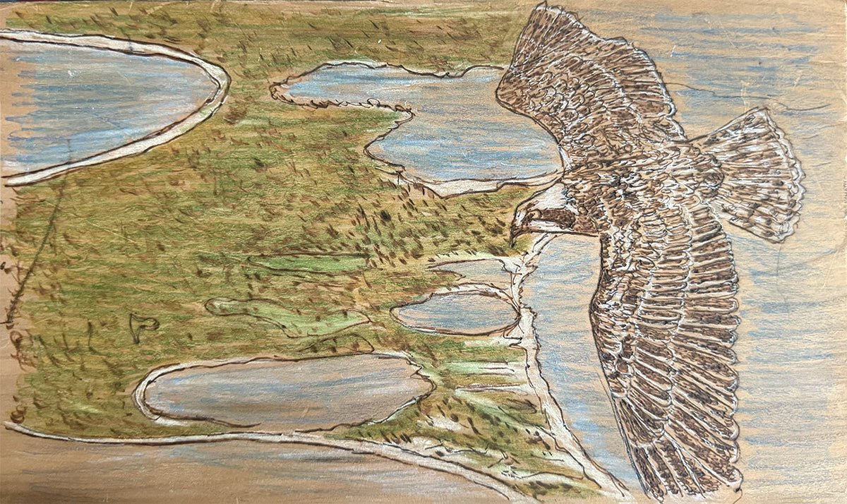 Bird Over Block Island