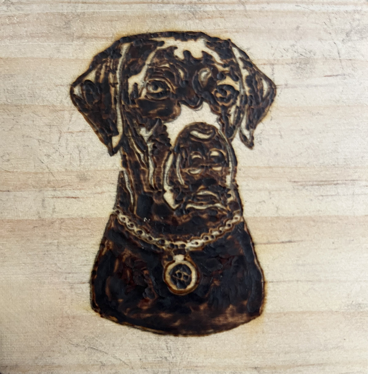 Black Lab