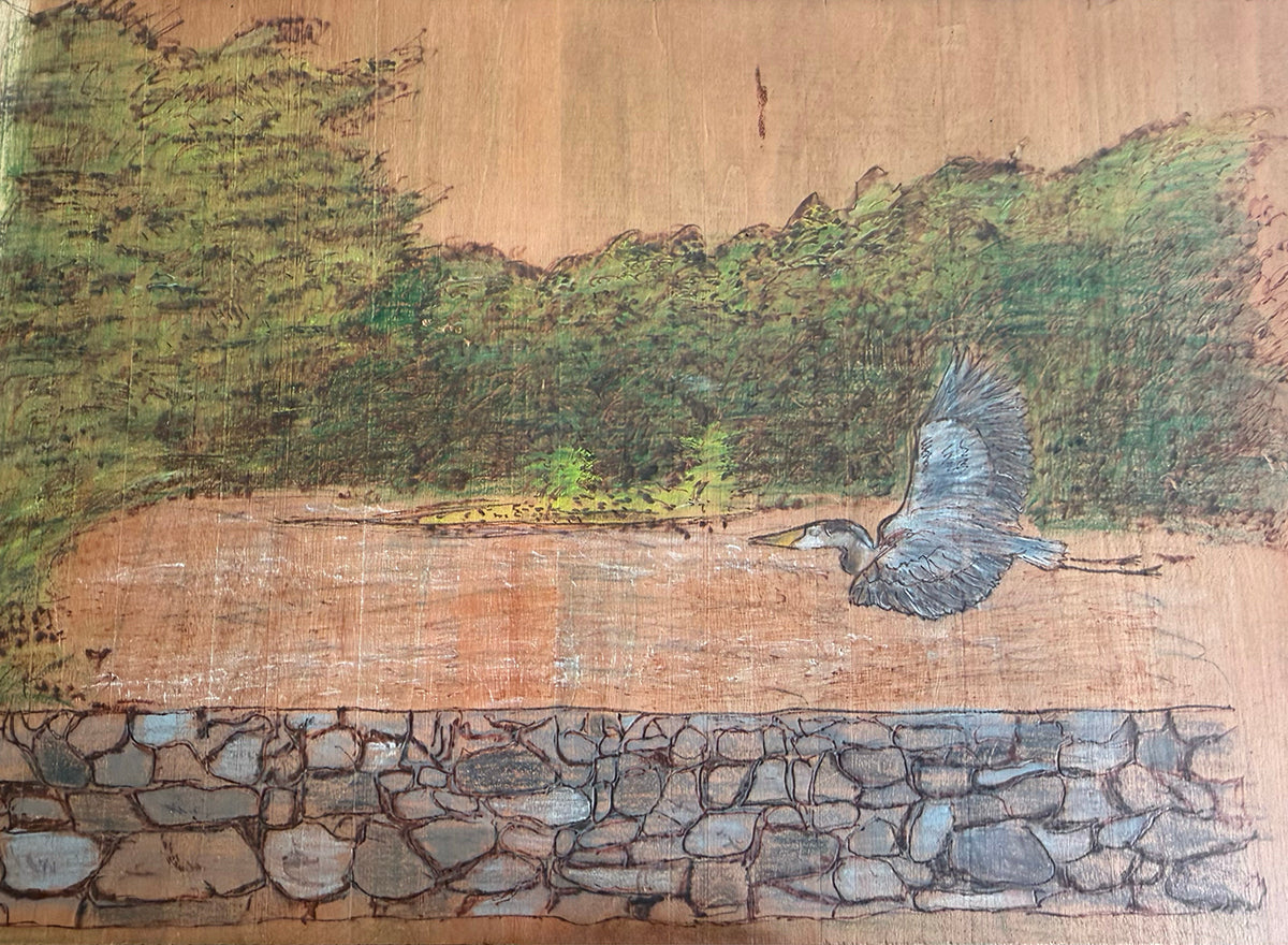 Great Blue Heron Over Woodward's Mill Pond