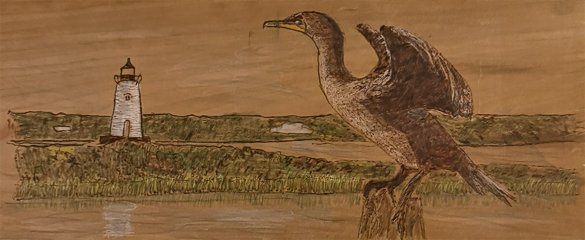 Double Crested Cormorant Spying on Edgartown Light