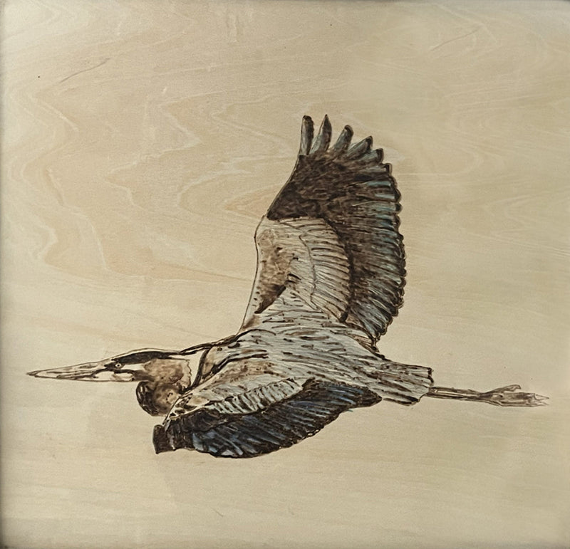 a heron soaring with elegance and precision