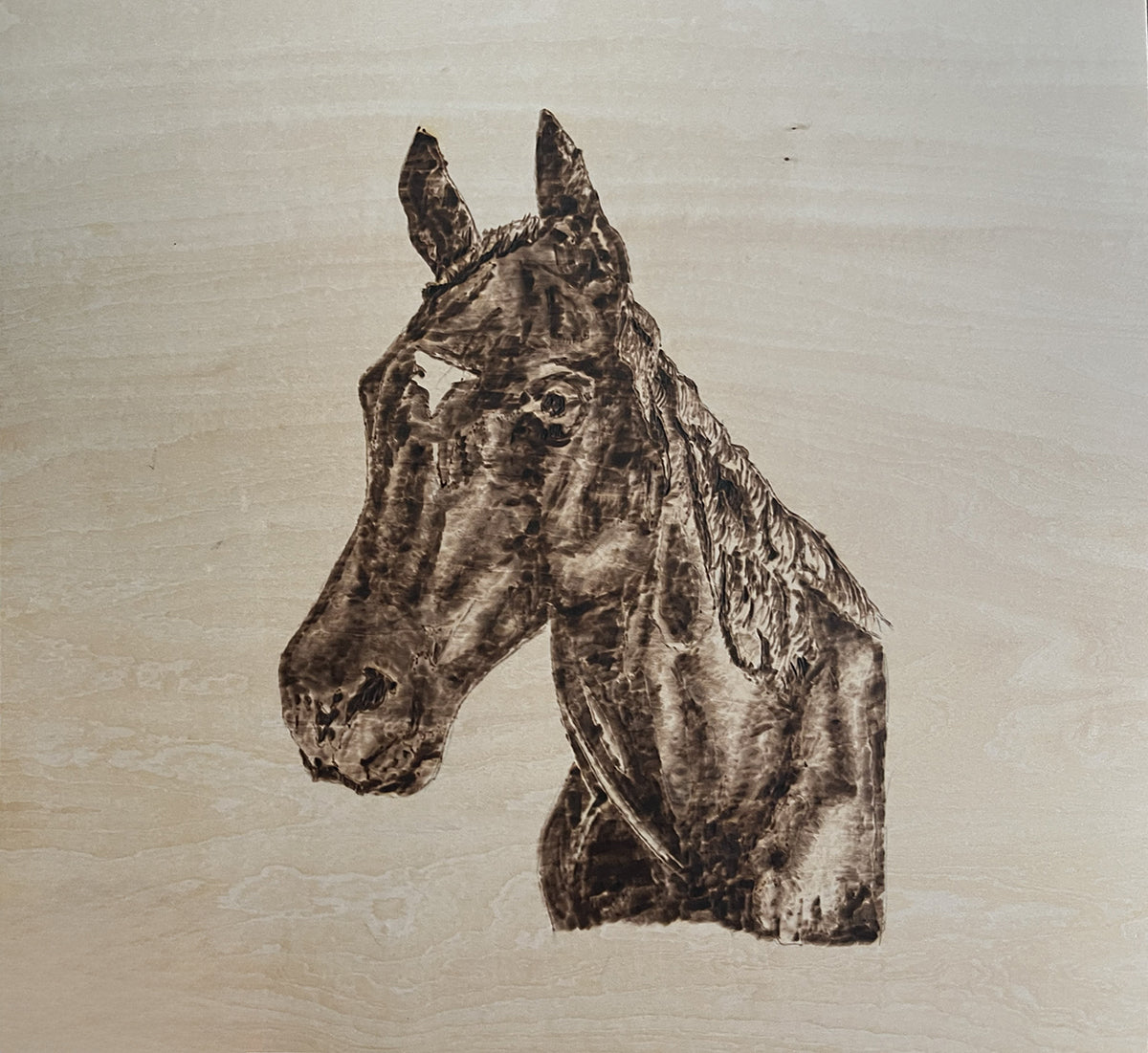 portrait captures the quiet strength and elegance of a horse