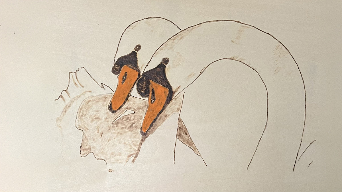 Swan Song transforms the elegance of swans